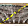 High Quality Best Price Conveyer belt mesh ( 15 years factory)